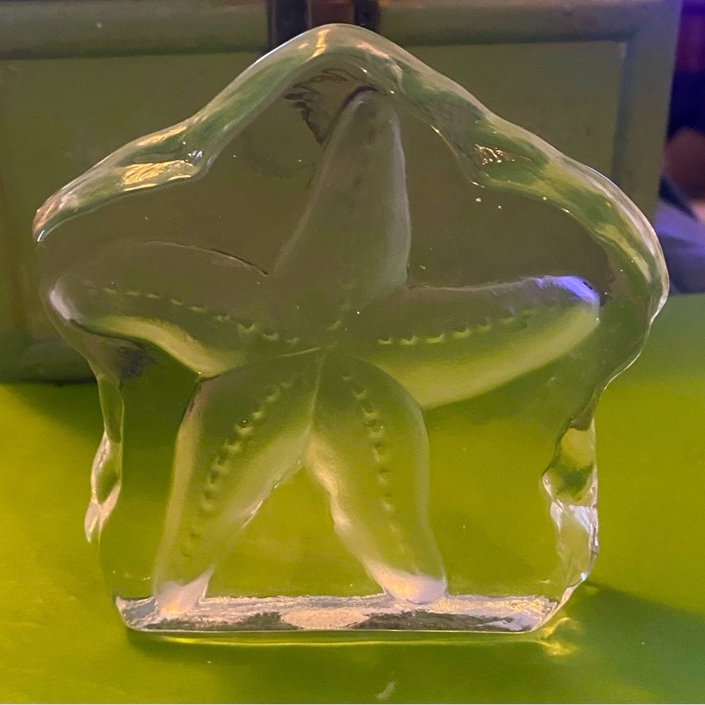 - Starfish Etched glass Ocean Paperweight chunky coastal decor
